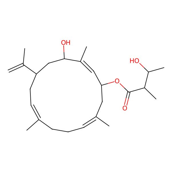 2D Structure of (4-Hydroxy-3,9,13-trimethyl-6-prop-1-en-2-ylcyclotetradeca-2,8,12-trien-1-yl) 3-hydroxy-2-methylbutanoate
