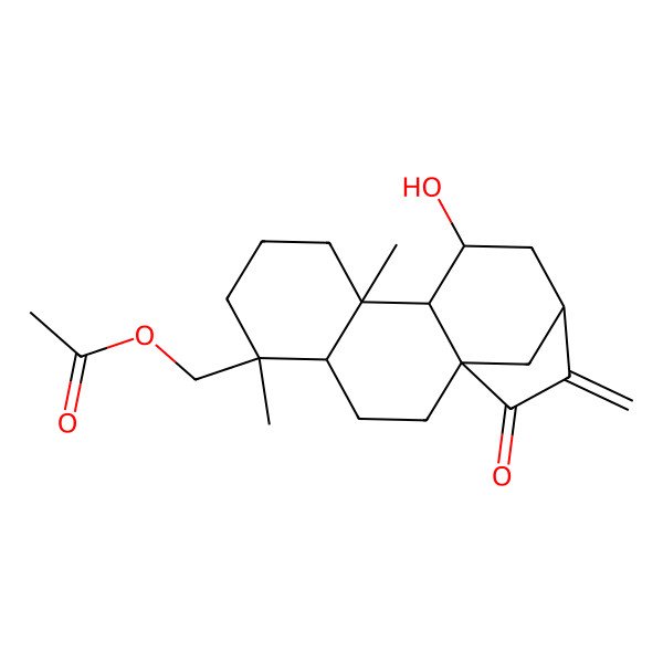 2D Structure of [(1R,4S,5S,9R,10S,11R,13S)-11-hydroxy-5,9-dimethyl-14-methylidene-15-oxo-5-tetracyclo[11.2.1.01,10.04,9]hexadecanyl]methyl acetate