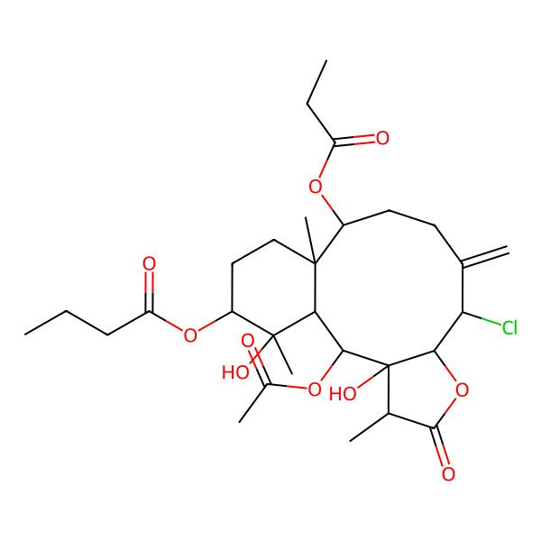 2D Structure of [(1S,2R,3R,4R,7R,8S,12S,13S,16S,17S)-2-acetyloxy-8-chloro-3,17-dihydroxy-4,13,17-trimethyl-9-methylidene-5-oxo-12-propanoyloxy-6-oxatricyclo[11.4.0.03,7]heptadecan-16-yl] butanoate