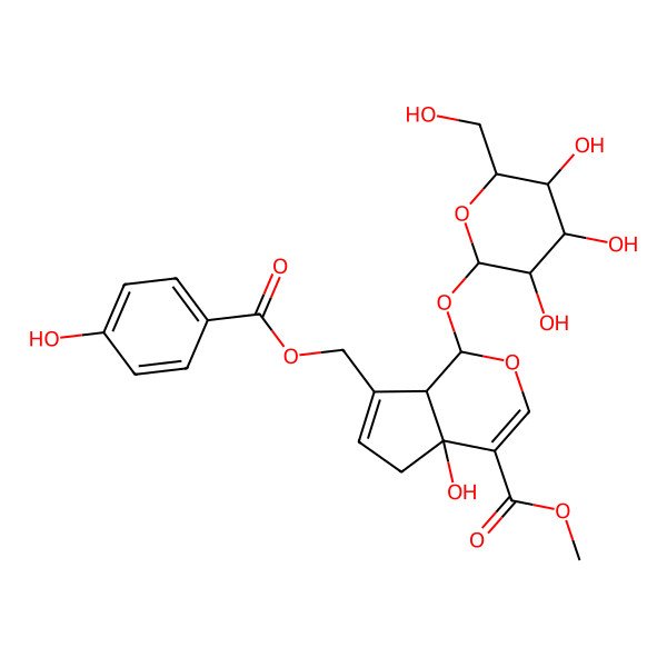 2D Structure of methyl (1S,4aR,7aR)-4a-hydroxy-7-[(4-hydroxybenzoyl)oxymethyl]-1-[(2S,3R,4S,5S,6R)-3,4,5-trihydroxy-6-(hydroxymethyl)oxan-2-yl]oxy-5,7a-dihydro-1H-cyclopenta[c]pyran-4-carboxylate