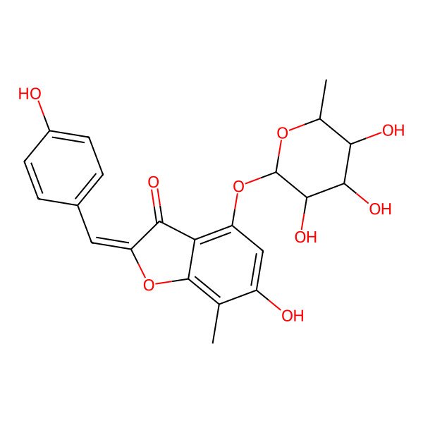 2D Structure of (2Z)-6-hydroxy-2-[(4-hydroxyphenyl)methylidene]-7-methyl-4-[(2R,3S,4S,5S,6S)-3,4,5-trihydroxy-6-methyloxan-2-yl]oxy-1-benzofuran-3-one