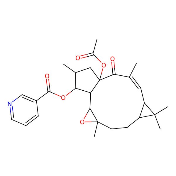 2D Structure of (13-Acetyloxy-4,8,8,11,15-pentamethyl-12-oxo-3-oxatetracyclo[11.3.0.02,4.07,9]hexadec-10-en-16-yl) pyridine-3-carboxylate
