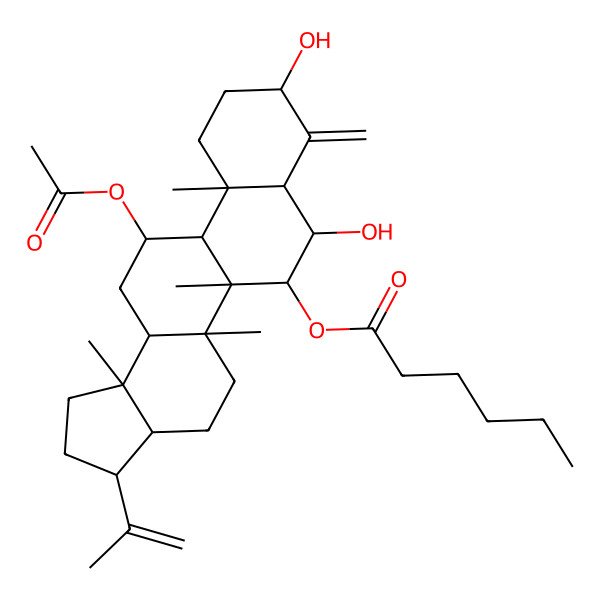 2D Structure of (12-Acetyloxy-7,9-dihydroxy-5a,5b,11a,13b-tetramethyl-8-methylidene-3-prop-1-en-2-yl-1,2,3,3a,4,5,6,7,7a,9,10,11,11b,12,13,13a-hexadecahydrocyclopenta[a]chrysen-6-yl) hexanoate