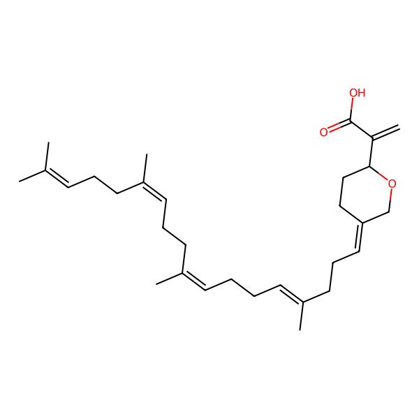 2D Structure of 2-[(2R)-5-[(4E,8E,12E)-4,9,13,17-Tetramethyl-4,8,12,16-octadecatetrene-1-ylidene]tetrahydro-2H-pyran-2-yl]propenoic acid
