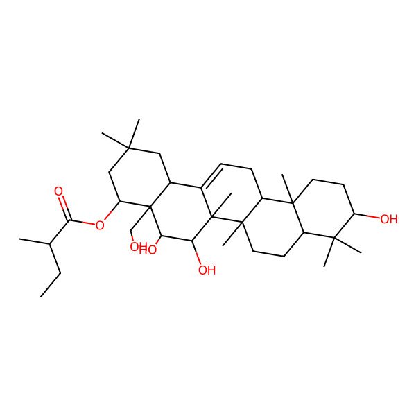 2D Structure of [5,6,10-Trihydroxy-4a-(hydroxymethyl)-2,2,6a,6b,9,9,12a-heptamethyl-1,3,4,5,6,6a,7,8,8a,10,11,12,13,14b-tetradecahydropicen-4-yl] 2-methylbutanoate