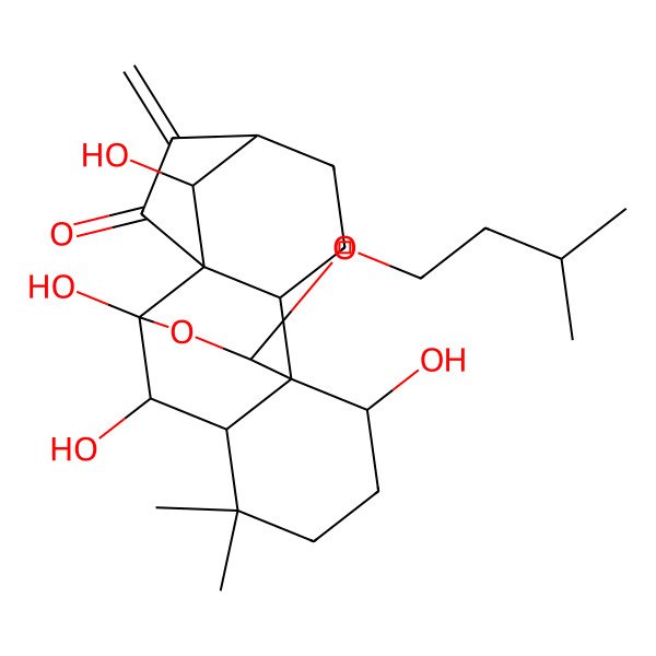 2D Structure of (1S,2R,5R,8S,9R,10R,11S,15R,16S,18S)-9,10,15,18-tetrahydroxy-12,12-dimethyl-16-(3-methylbutoxy)-6-methylidene-17-oxapentacyclo[7.6.2.15,8.01,11.02,8]octadecan-7-one