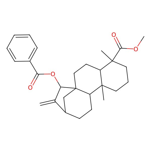 2D Structure of Methyl 15-benzoyloxy-5,9-dimethyl-14-methylidenetetracyclo[11.2.1.01,10.04,9]hexadecane-5-carboxylate