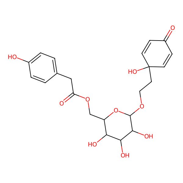 2D Structure of [3,4,5-Trihydroxy-6-[2-(1-hydroxy-4-oxocyclohexa-2,5-dien-1-yl)ethoxy]oxan-2-yl]methyl 2-(4-hydroxyphenyl)acetate