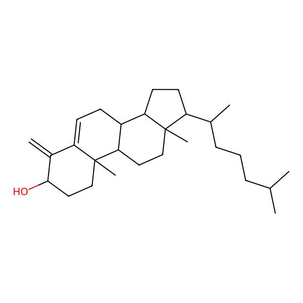 2D Structure of 10,13-Dimethyl-17-(6-methylheptan-2-yl)-4-methylidene-1,2,3,7,8,9,11,12,14,15,16,17-dodecahydrocyclopenta[a]phenanthren-3-ol