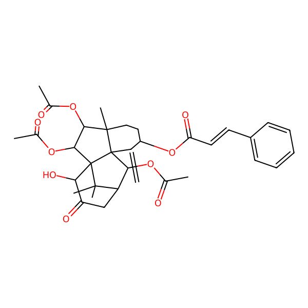 2D Structure of (2,3,10-Triacetyloxy-14-hydroxy-4,15,15-trimethyl-8-methylidene-13-oxo-7-tetracyclo[9.3.1.01,9.04,9]pentadecanyl) 3-phenylprop-2-enoate