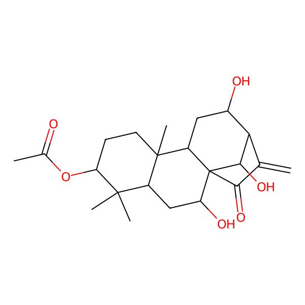 2D Structure of [(1R,2R,4S,6S,9R,10S,12S,13R,16R)-2,12,16-trihydroxy-5,5,9-trimethyl-14-methylidene-15-oxo-6-tetracyclo[11.2.1.01,10.04,9]hexadecanyl] acetate