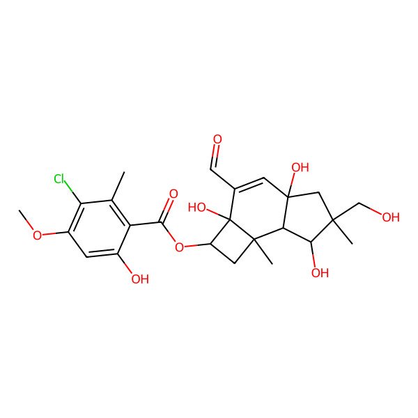 2D Structure of [3-formyl-2a,4a,7-trihydroxy-6-(hydroxymethyl)-6,7b-dimethyl-2,5,7,7a-tetrahydro-1H-cyclobuta[e]inden-2-yl] 3-chloro-6-hydroxy-4-methoxy-2-methylbenzoate
