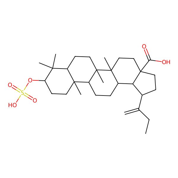 2D Structure of (1R,3aS,5aR,5bR,7aR,9R,11aR,11bR,13aR,13bR)-1-but-1-en-2-yl-5a,5b,8,8,11a-pentamethyl-9-sulfooxy-1,2,3,4,5,6,7,7a,9,10,11,11b,12,13,13a,13b-hexadecahydrocyclopenta[a]chrysene-3a-carboxylic acid