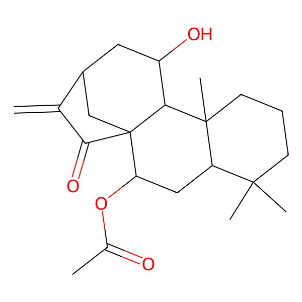 2D Structure of [(1R,2R,4R,9R,10S,11S,13S)-11-hydroxy-5,5,9-trimethyl-14-methylidene-15-oxo-2-tetracyclo[11.2.1.01,10.04,9]hexadecanyl] acetate