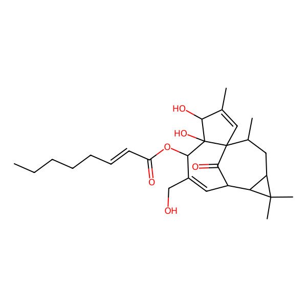 2D Structure of [(1S,4S,5S,6S,9S,10R,12R,14R)-4,5-dihydroxy-7-(hydroxymethyl)-3,11,11,14-tetramethyl-15-oxo-6-tetracyclo[7.5.1.01,5.010,12]pentadeca-2,7-dienyl] (E)-oct-2-enoate
