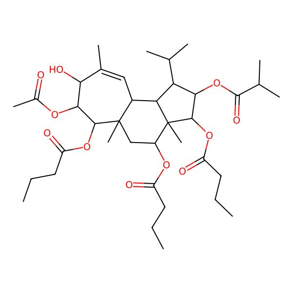 2D Structure of [(1R,2R,3R,3aR,4S,5aR,6S,7S,8S,10aS,10bR)-7-acetyloxy-3,6-di(butanoyloxy)-8-hydroxy-3a,5a,9-trimethyl-2-(2-methylpropanoyloxy)-1-propan-2-yl-1,2,3,4,5,6,7,8,10a,10b-decahydrocyclohepta[e]inden-4-yl] butanoate