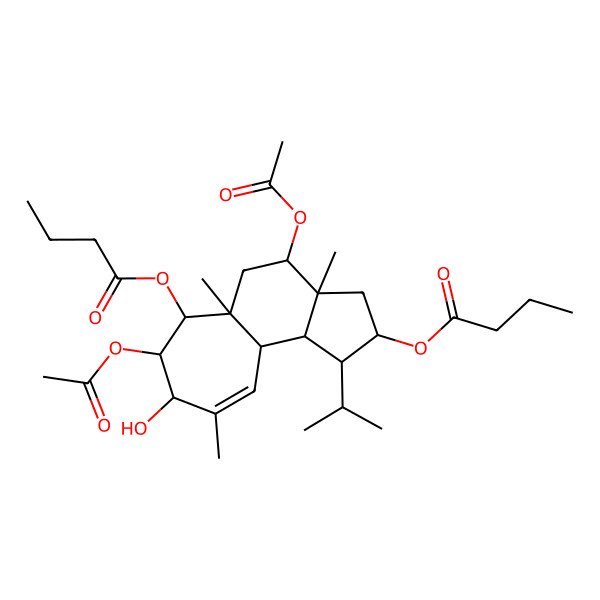 2D Structure of [(1R,2S,3aR,4S,5aR,6S,7S,8S,10aS,10bR)-4,7-diacetyloxy-6-butanoyloxy-8-hydroxy-3a,5a,9-trimethyl-1-propan-2-yl-1,2,3,4,5,6,7,8,10a,10b-decahydrocyclohepta[e]inden-2-yl] butanoate