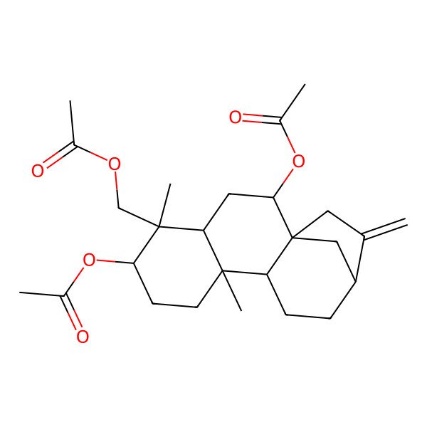 2D Structure of [(1R,2S,4S,5S,6R,9S,10S,13R)-2,6-diacetyloxy-5,9-dimethyl-14-methylidene-5-tetracyclo[11.2.1.01,10.04,9]hexadecanyl]methyl acetate