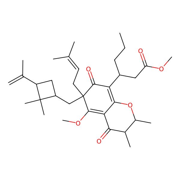 2D Structure of Methyl 3-[6-[(2,2-dimethyl-3-prop-1-en-2-ylcyclobutyl)methyl]-5-methoxy-2,3-dimethyl-6-(3-methylbut-2-enyl)-4,7-dioxo-2,3-dihydrochromen-8-yl]hexanoate