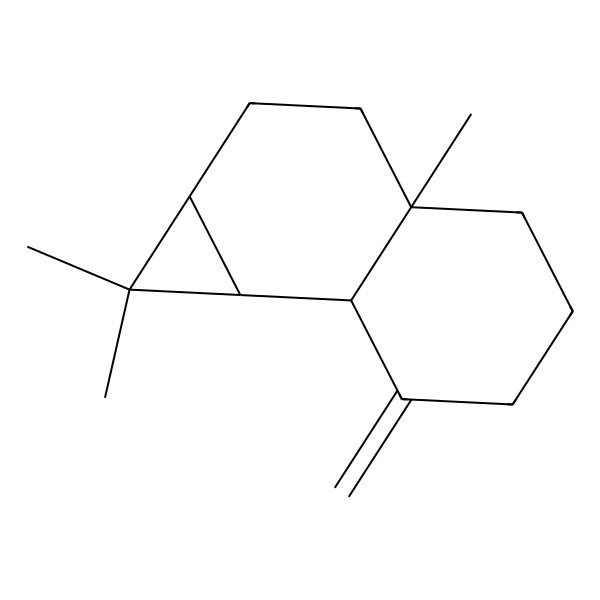 2D Structure of (1aS,3aR,7aS,7bS)-1,1,3a-trimethyl-7-methylidene-1a,2,3,4,5,6,7a,7b-octahydrocyclopropa[a]naphthalene