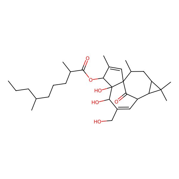 2D Structure of [5,6-Dihydroxy-7-(hydroxymethyl)-3,11,11,14-tetramethyl-15-oxo-4-tetracyclo[7.5.1.01,5.010,12]pentadeca-2,7-dienyl] 2,6-dimethylnonanoate