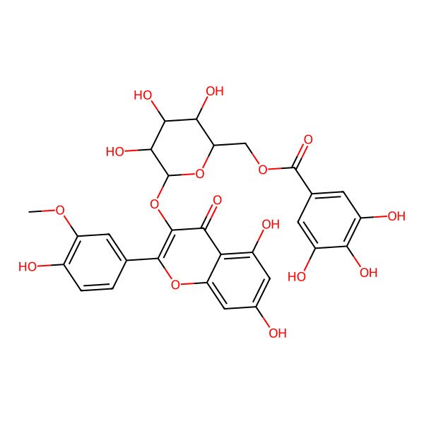 2D Structure of [6-[5,7-Dihydroxy-2-(4-hydroxy-3-methoxyphenyl)-4-oxochromen-3-yl]oxy-3,4,5-trihydroxyoxan-2-yl]methyl 3,4,5-trihydroxybenzoate