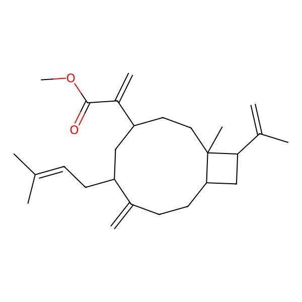 2D Structure of methyl 2-[(1S,4S,6R,10R,12R)-1-methyl-6-(3-methylbut-2-enyl)-7-methylidene-12-prop-1-en-2-yl-4-bicyclo[8.2.0]dodecanyl]prop-2-enoate