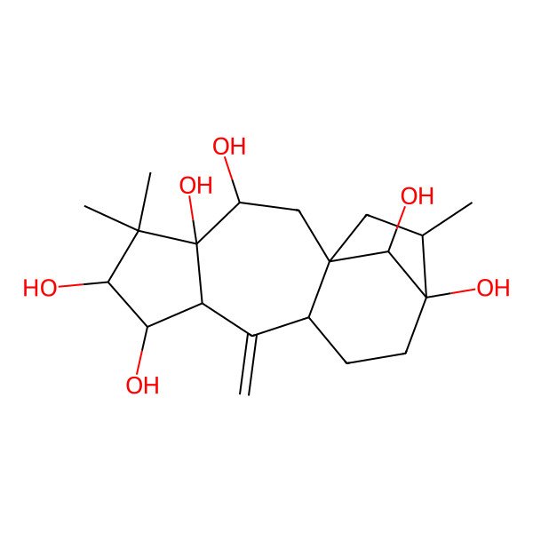 2D Structure of (1R,3R,4R,6R,7S,8R,10S,13R,14S,16R)-5,5,14-trimethyl-9-methylidenetetracyclo[11.2.1.01,10.04,8]hexadecane-3,4,6,7,13,16-hexol