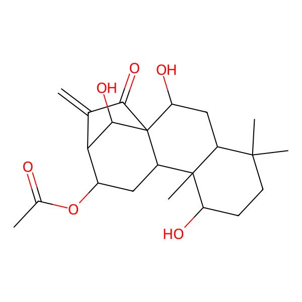 2D Structure of [(1S,4S,9S,10R)-2,8,16-trihydroxy-5,5,9-trimethyl-14-methylidene-15-oxo-12-tetracyclo[11.2.1.01,10.04,9]hexadecanyl] acetate
