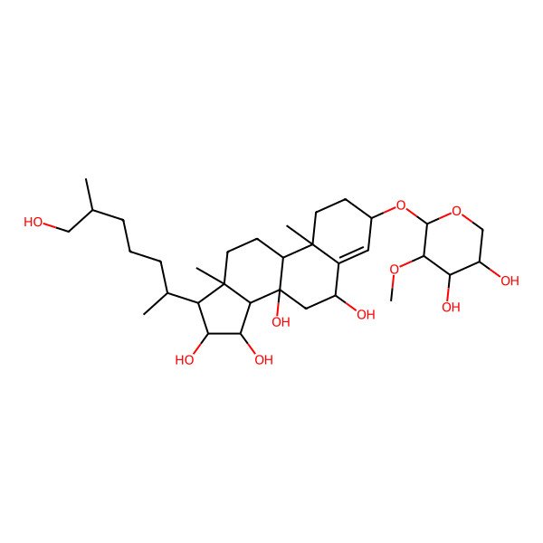 2D Structure of (3S,6R,8S,9R,10R,13R,14S,15R,16R,17R)-3-[(2S,3R,4S,5R)-4,5-dihydroxy-3-methoxyoxan-2-yl]oxy-17-[(2R,6S)-7-hydroxy-6-methylheptan-2-yl]-10,13-dimethyl-1,2,3,6,7,9,11,12,14,15,16,17-dodecahydrocyclopenta[a]phenanthrene-6,8,15,16-tetrol