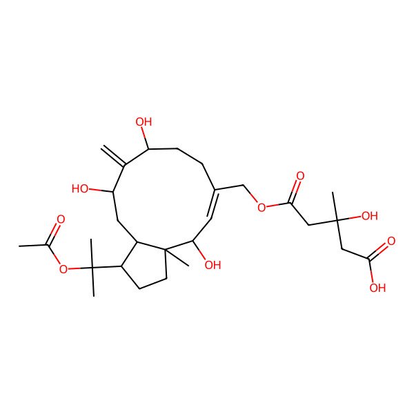 2D Structure of 5-[[1-(2-Acetyloxypropan-2-yl)-4,9,11-trihydroxy-3a-methyl-10-methylidene-1,2,3,4,7,8,9,11,12,12a-decahydrocyclopenta[11]annulen-6-yl]methoxy]-3-hydroxy-3-methyl-5-oxopentanoic acid