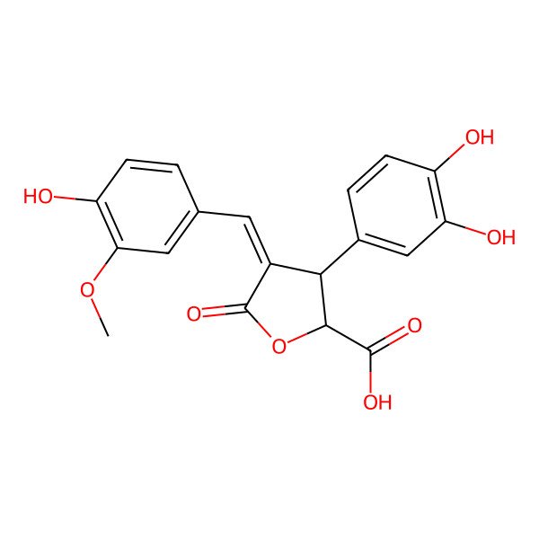 2D Structure of (2S,3S,4E)-3-(3,4-dihydroxyphenyl)-4-[(4-hydroxy-3-methoxyphenyl)methylidene]-5-oxooxolane-2-carboxylic acid