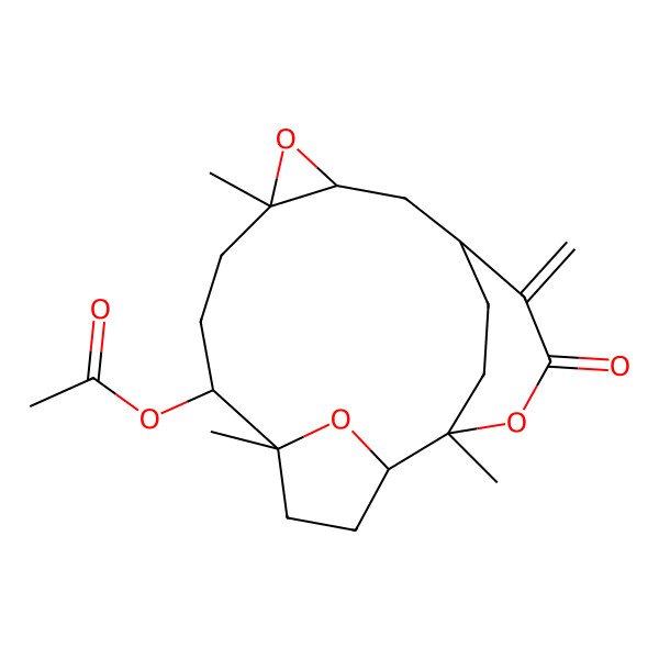 2D Structure of [(1R,2S,5S,6S,9S,11S,13R)-1,5,9-trimethyl-14-methylidene-15-oxo-10,16,19-trioxatetracyclo[11.3.2.12,5.09,11]nonadecan-6-yl] acetate
