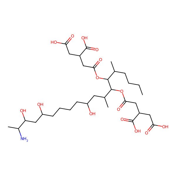 2D Structure of 2-[2-[18-Amino-7-(3,4-dicarboxybutanoyloxy)-10,15,17-trihydroxy-5,8-dimethylnonadecan-6-yl]oxy-2-oxoethyl]butanedioic acid