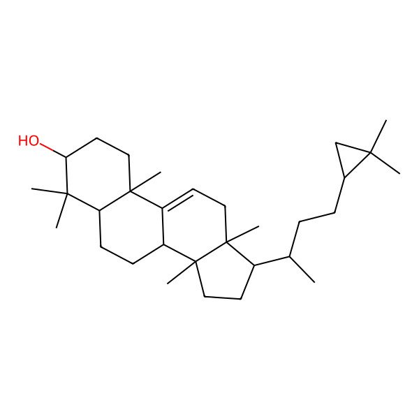 2D Structure of 17-[4-(2,2-dimethylcyclopropyl)butan-2-yl]-4,4,10,13,14-pentamethyl-2,3,5,6,7,8,12,15,16,17-decahydro-1H-cyclopenta[a]phenanthren-3-ol