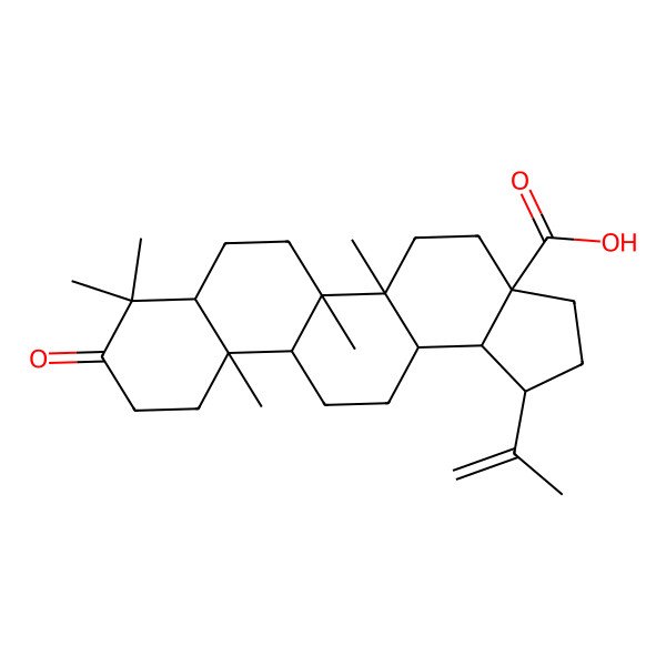 2D Structure of (1R,3aS,5aR,5bR,7aR,11aR,11bR,13aS,13bS)-5a,5b,8,8,11a-pentamethyl-9-oxo-1-prop-1-en-2-yl-2,3,4,5,6,7,7a,10,11,11b,12,13,13a,13b-tetradecahydro-1H-cyclopenta[a]chrysene-3a-carboxylic acid