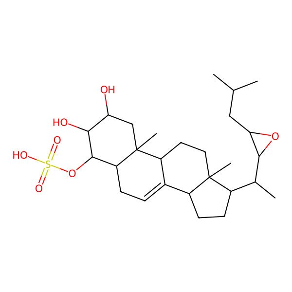 2D Structure of [(2R,3S,4S,9R,10R,13R,14R,17R)-2,3-dihydroxy-10,13-dimethyl-17-[(1S)-1-[(2S,3S)-3-(2-methylpropyl)oxiran-2-yl]ethyl]-2,3,4,5,6,9,11,12,14,15,16,17-dodecahydro-1H-cyclopenta[a]phenanthren-4-yl] hydrogen sulfate