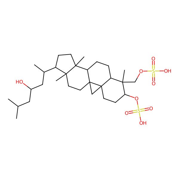 2D Structure of [(1S,3R,6S,7R,8R,11S,12S,15R,16R)-15-[(2R,4S)-4-hydroxy-6-methylheptan-2-yl]-7,12,16-trimethyl-7-(sulfooxymethyl)-6-pentacyclo[9.7.0.01,3.03,8.012,16]octadecanyl] hydrogen sulfate