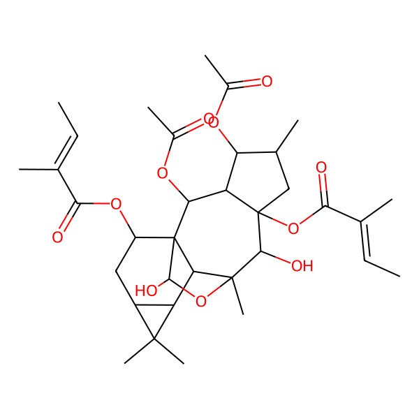 2D Structure of [(1R,2R,3R,4S,5S,7R,8R,9R,10R,11S,13S,15R)-2,4-diacetyloxy-8,16-dihydroxy-5,9,12,12-tetramethyl-7-[(E)-2-methylbut-2-enoyl]oxy-17-oxapentacyclo[7.6.2.01,10.03,7.011,13]heptadecan-15-yl] (E)-2-methylbut-2-enoate