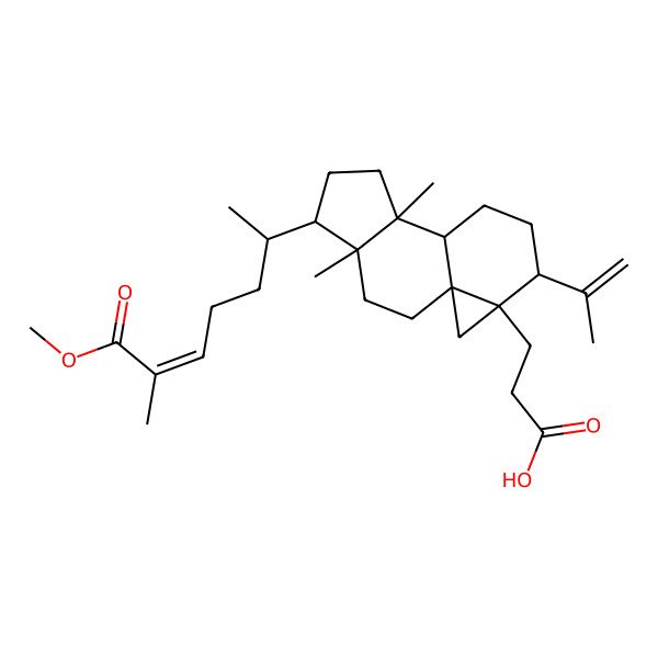 2D Structure of 3-[5-(7-Methoxy-6-methyl-7-oxohept-5-en-2-yl)-4,8-dimethyl-12-prop-1-en-2-yl-13-tetracyclo[7.5.0.01,13.04,8]tetradecanyl]propanoic acid