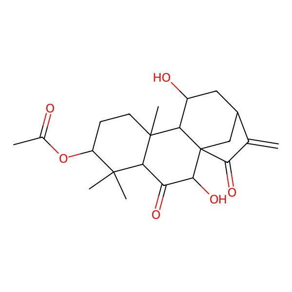 2D Structure of (2,11-Dihydroxy-5,5,9-trimethyl-14-methylidene-3,15-dioxo-6-tetracyclo[11.2.1.01,10.04,9]hexadecanyl) acetate