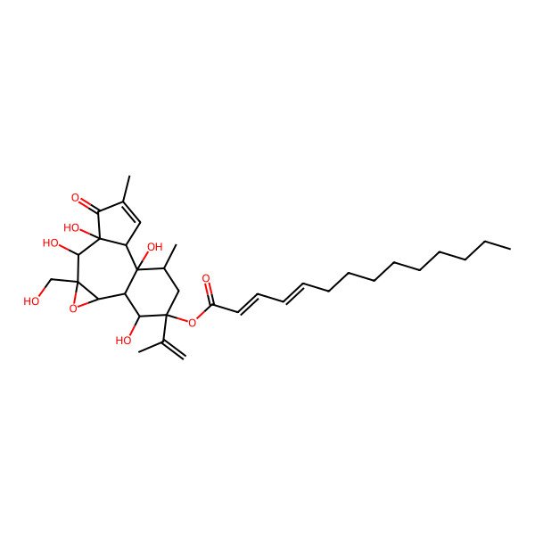 2D Structure of [(1R,2S,4R,5S,6S,10S,11R,12R,14R,15R)-5,6,11,15-tetrahydroxy-4-(hydroxymethyl)-8,12-dimethyl-7-oxo-14-prop-1-en-2-yl-3-oxatetracyclo[9.4.0.02,4.06,10]pentadec-8-en-14-yl] (2Z,4E)-tetradeca-2,4-dienoate