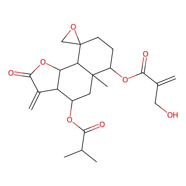 2D Structure of [5a-Methyl-3-methylidene-4-(2-methylpropanoyloxy)-2-oxospiro[3a,4,5,6,7,8,9a,9b-octahydrobenzo[g][1]benzofuran-9,2'-oxirane]-6-yl] 2-(hydroxymethyl)prop-2-enoate