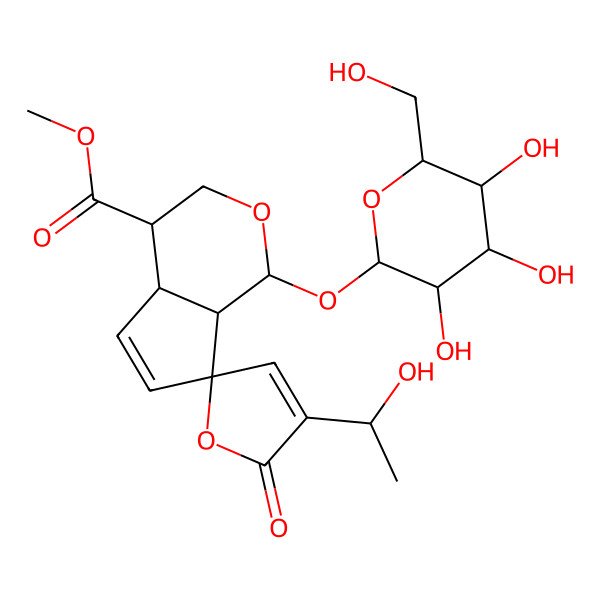 2D Structure of methyl (1S,4R,4aR,7R,7aS)-4'-[(1R)-1-hydroxyethyl]-5'-oxo-1-[(2R,3S,4S,5S,6R)-3,4,5-trihydroxy-6-(hydroxymethyl)oxan-2-yl]oxyspiro[3,4,4a,7a-tetrahydro-1H-cyclopenta[c]pyran-7,2'-furan]-4-carboxylate