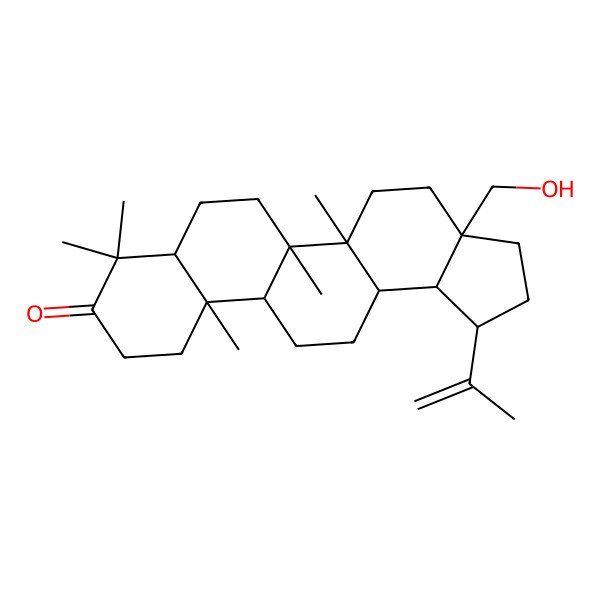 2D Structure of 3a-(hydroxymethyl)-5a,5b,8,8,11a-pentamethyl-1-prop-1-en-2-yl-2,3,4,5,6,7,7a,10,11,11b,12,13,13a,13b-tetradecahydro-1H-cyclopenta[a]chrysen-9-one