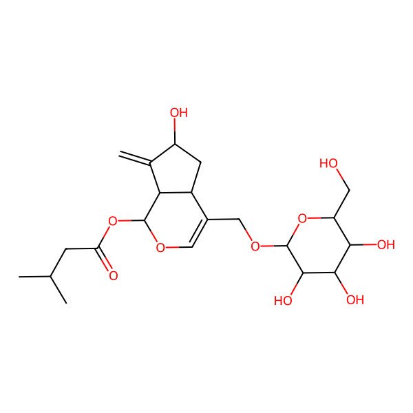 2D Structure of [6-hydroxy-7-methylidene-4-[[3,4,5-trihydroxy-6-(hydroxymethyl)oxan-2-yl]oxymethyl]-4a,5,6,7a-tetrahydro-1H-cyclopenta[c]pyran-1-yl] 3-methylbutanoate
