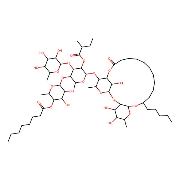 2D Structure of [(2S,3R,4S,5R,6S)-4,5-dihydroxy-2-methyl-6-[(2S,3S,4R,5R,6S)-2-methyl-5-[(2S)-2-methylbutanoyl]oxy-6-[[(1S,3R,4S,5R,6R,8R,10S,22S,23S,24S,26R)-4,5,26-trihydroxy-6,24-dimethyl-20-oxo-10-pentyl-2,7,9,21,25-pentaoxatricyclo[20.3.1.03,8]hexacosan-23-yl]oxy]-4-[(2S,3R,4R,5R,6S)-3,4,5-trihydroxy-6-methyloxan-2-yl]oxyoxan-3-yl]oxyoxan-3-yl] octanoate