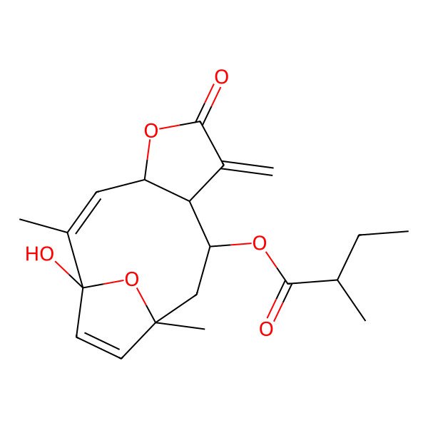 2D Structure of (1-Hydroxy-2,11-dimethyl-7-methylidene-6-oxo-5,14-dioxatricyclo[9.2.1.04,8]tetradeca-2,12-dien-9-yl) 2-methylbutanoate