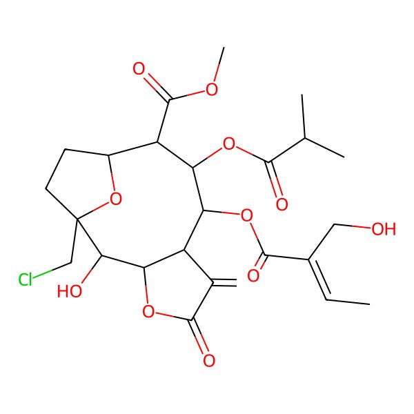 2D Structure of methyl (1R,2R,3S,7S,8S,9S,10S,11S)-1-(chloromethyl)-2-hydroxy-8-[(Z)-2-(hydroxymethyl)but-2-enoyl]oxy-6-methylidene-9-(2-methylpropanoyloxy)-5-oxo-4,14-dioxatricyclo[9.2.1.03,7]tetradecane-10-carboxylate