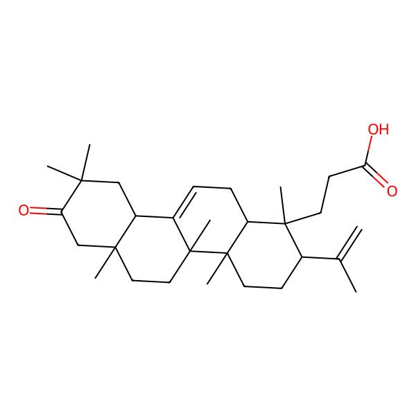 2D Structure of 3-[(1S,2S,4aR,4bS,6aS,10aR,12aR)-1,4a,4b,6a,9,9-hexamethyl-8-oxo-2-prop-1-en-2-yl-2,3,4,5,6,7,10,10a,12,12a-decahydrochrysen-1-yl]propanoic acid